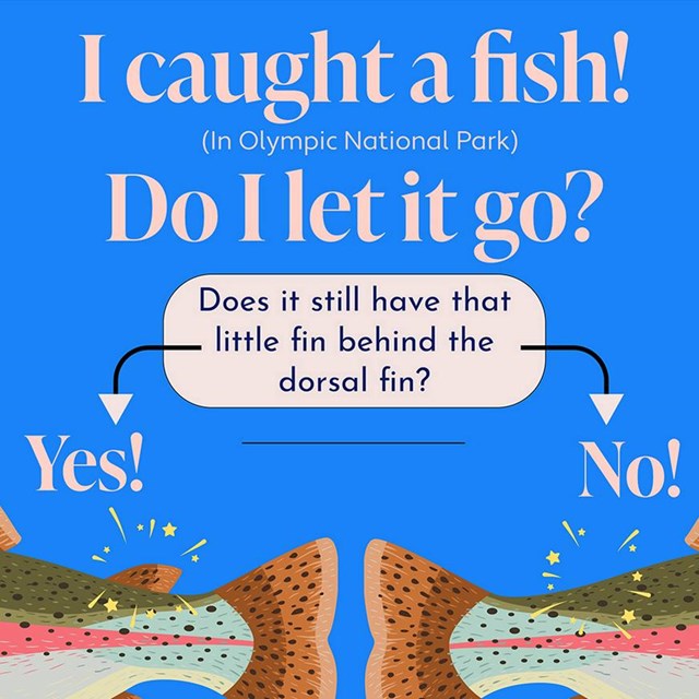 A flow chart about fishing. Full alt text on the original image on Instagram.