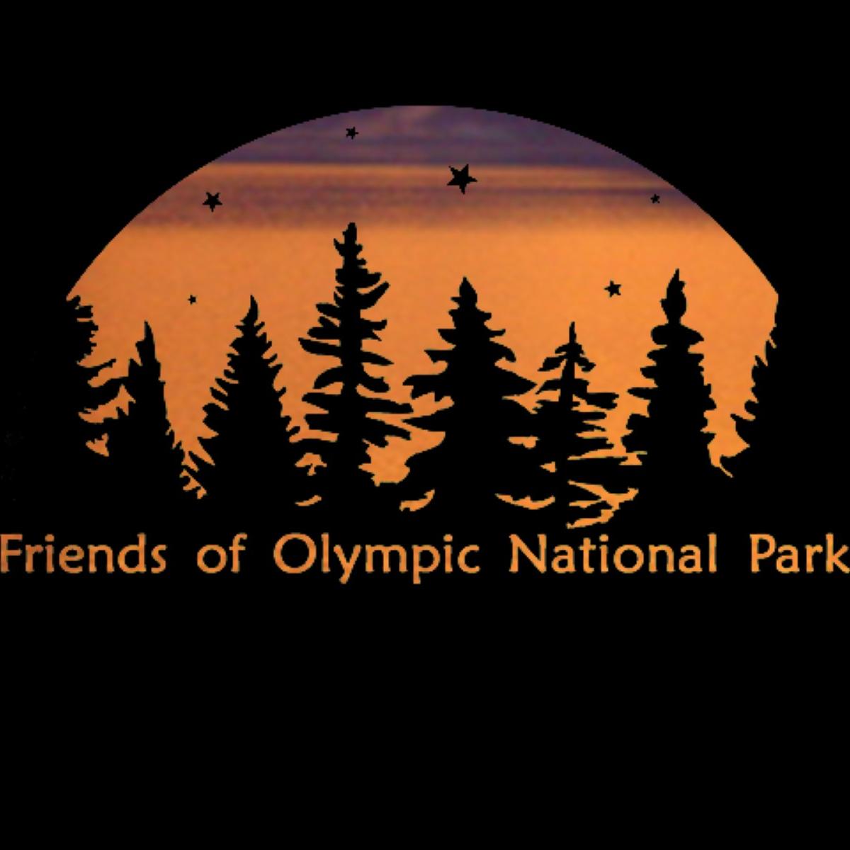 sunset with trees and stars in the sky