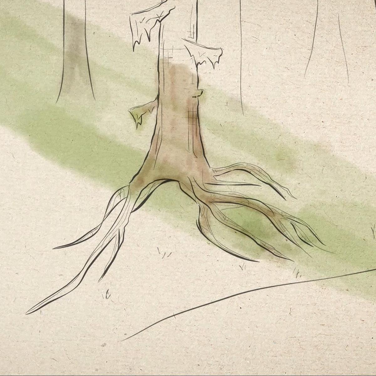 A drawing of a tree with roots spread wide, in black on art paper. A wash of watercolor.