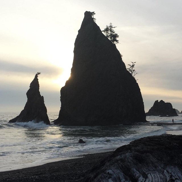 A beach with large stacks at sunset.