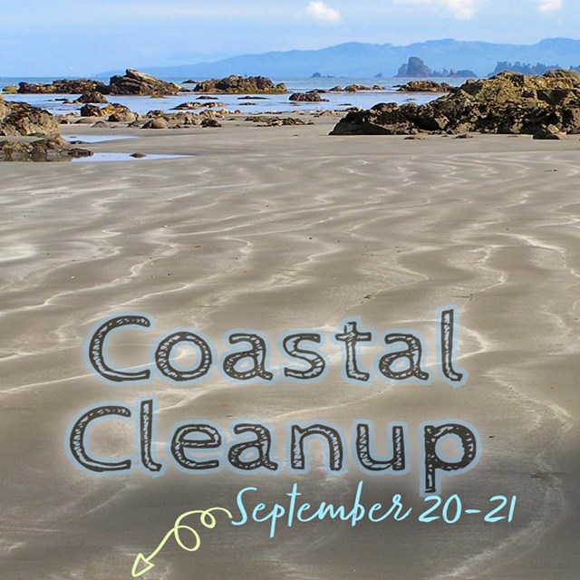 Undulating lines of white and brown sand on a beach. Text reads Coastal Cleanup September 20-21