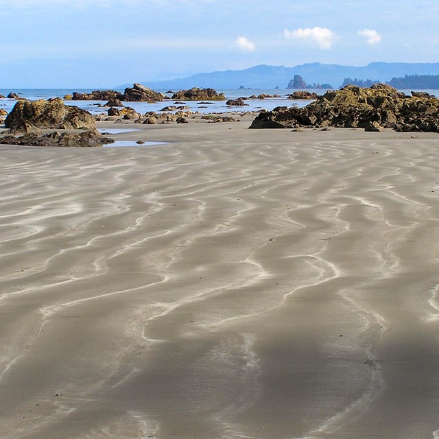 Wavy lines of sand on a beach. 