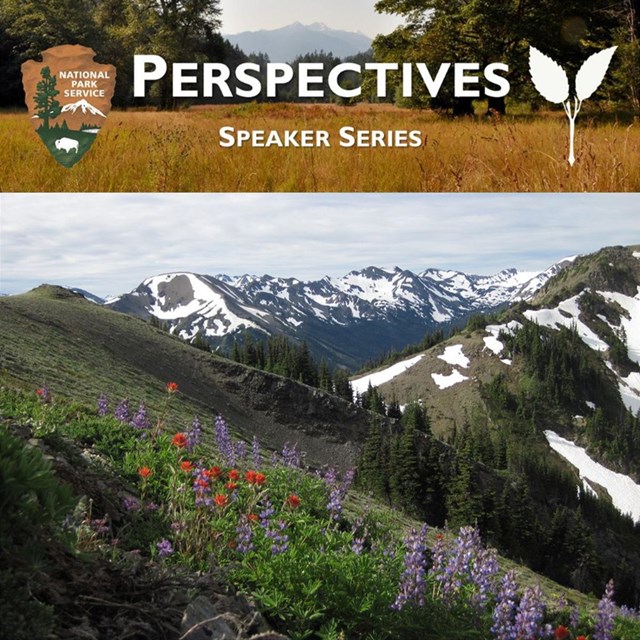 Perspectives Speaker Series header and photo of wildflowers, trees and mountains.