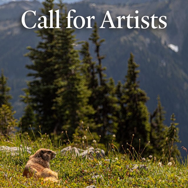 A furry brown marmot sits in a meadow, trees and mountains rise in the distance. Call for artists.