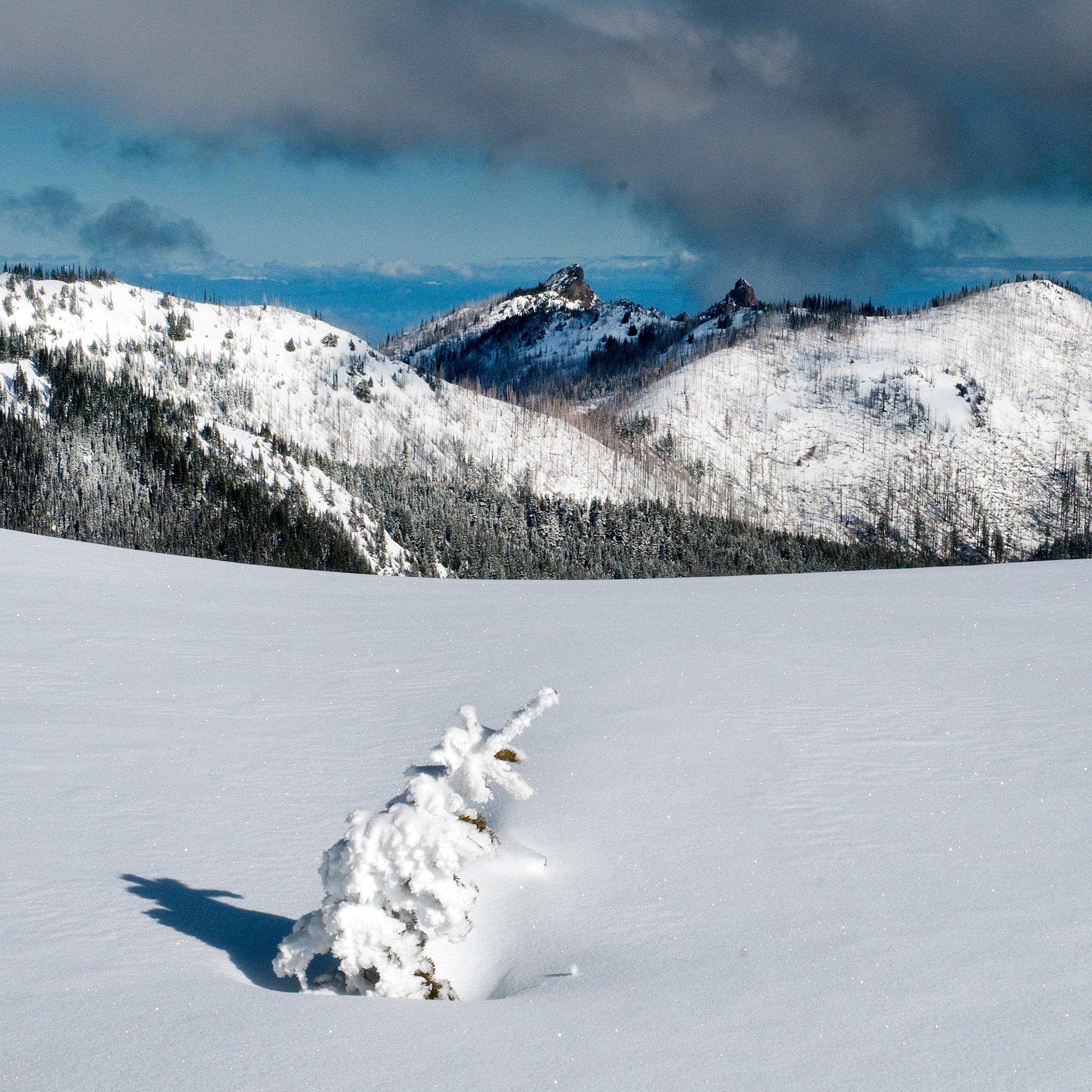 Winter at Hurricane Ridge
