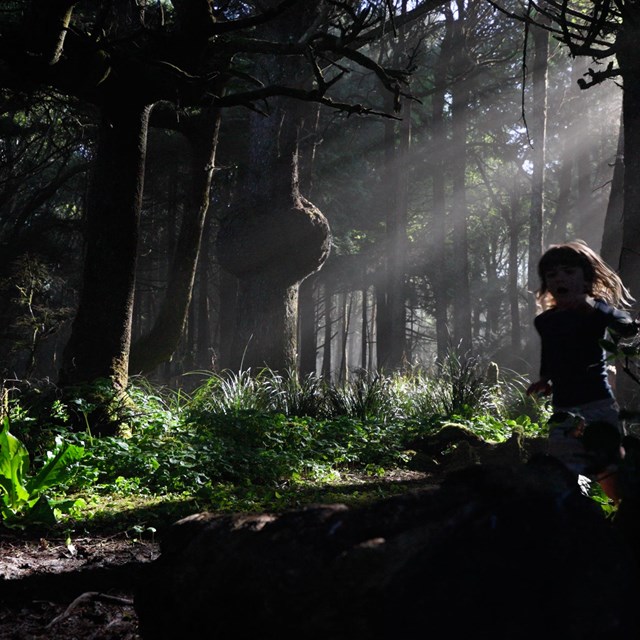 A small child runs through a forest, shafts of light breaking through the canopy.
