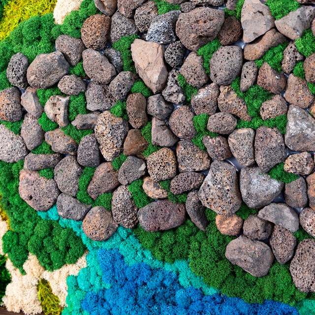 A large wood frame borders a moss wall in which rocks and moss of different colors are arranged to d