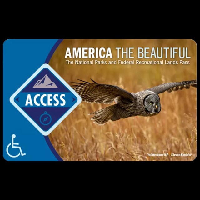A card with a photo of an owl in flight and wheelchair icon. Text reads ACCESS America the Beautiful