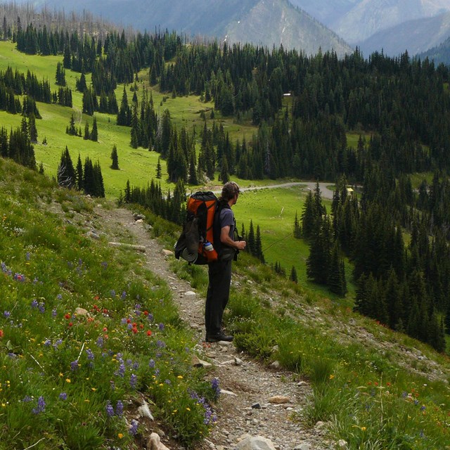 A man with a large backpack stands on a trail looking out at a mountain vista. Wildflowers surround 