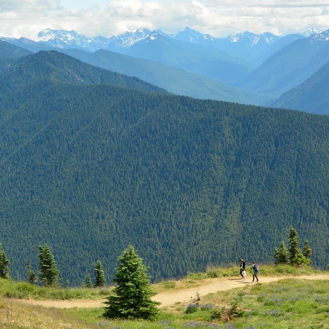 Two adults and a child on a trail, with a mountain panorama stretching into the background.