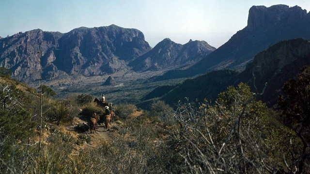 Horseriders follow the Laguna Meadow Trail towards the Chisos Basin, Big Bend, in the 1940s.