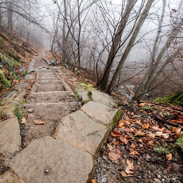 A trail leads down steps of logs and fill, lined by large stones, into foggy fall woods.