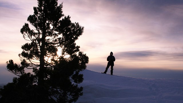 Hiker snowshoeing up the mountain.