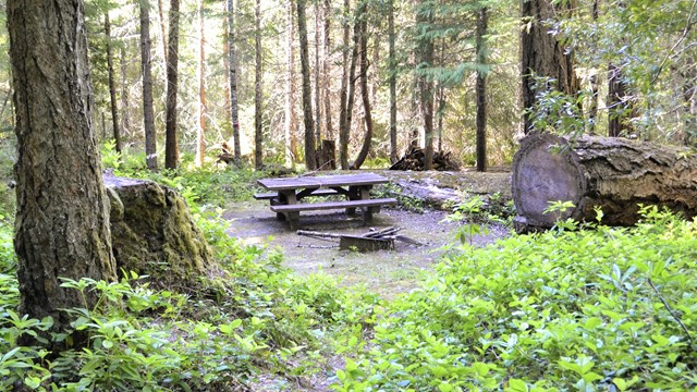 Camp site with picnic table at Cave Creek Campground.