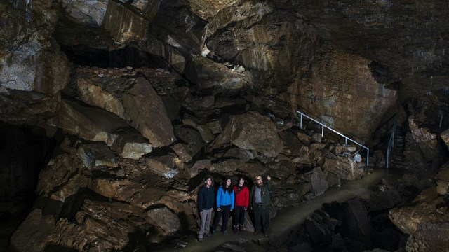 Tour group viewing the Ghost Room on the Discovery Cave Tour.