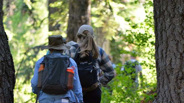 Two hikers walking among trees on the Mt. Elijah Trail.