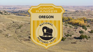 A large sweeping hill covered in grass with trail ruts, a junior ranger badge overlayed.
