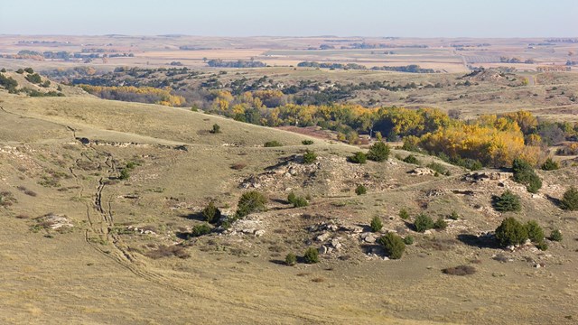 A large sweeping grassy hill, with obvious trail ruts running up it.