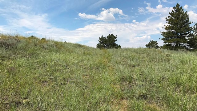 Trail ruts run up through a grassy field under a blue sky.