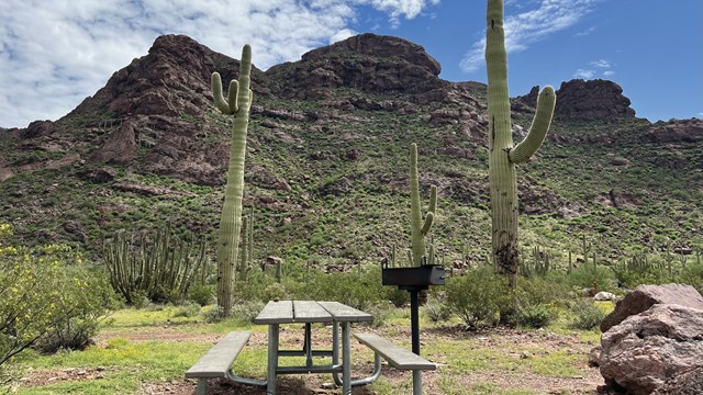 A picnic table and grill sit at the base of a mountain in Alamo Canyon Campground