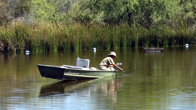 A scientist collects data from a boat at Quitobaquito.