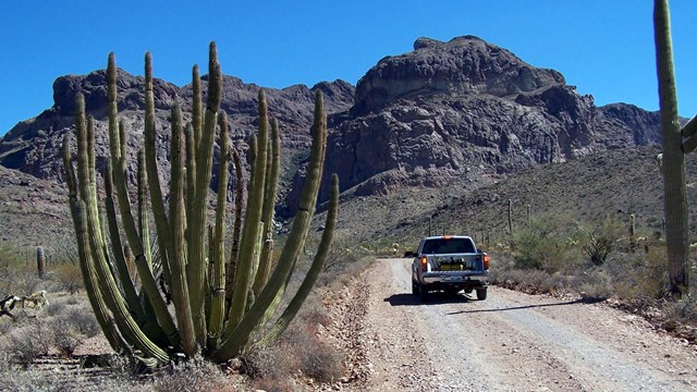 A car along a dirt road, mountain in the distance, cactus in the foreground