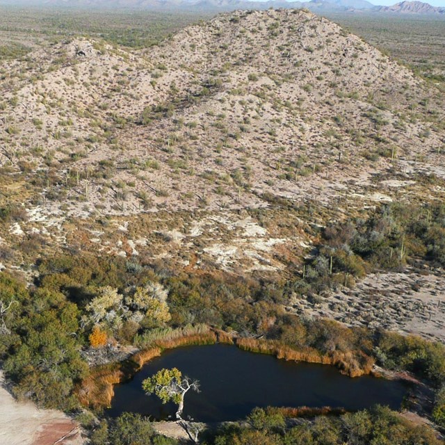 Aerial view of Quitobaquito pond and hills