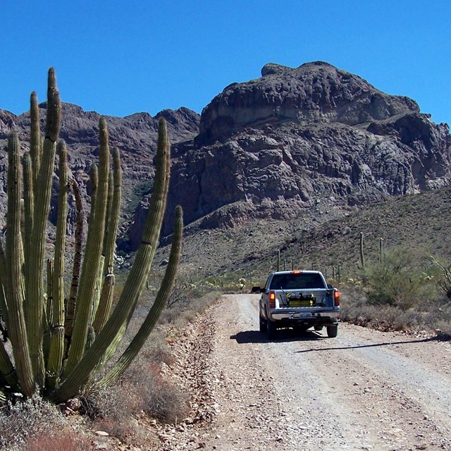 A car along a dirt road, mountain in the distance, cactus in the foreground