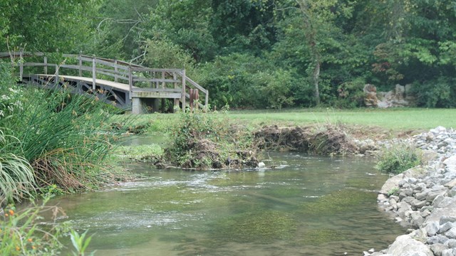 Stream with wildflowers and a wooden bridge