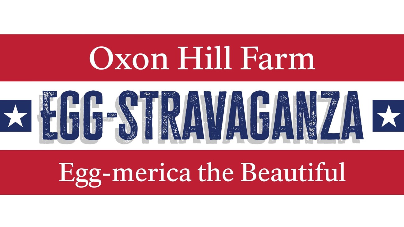 Oxon Hill Farm Egg-Stravaganza
