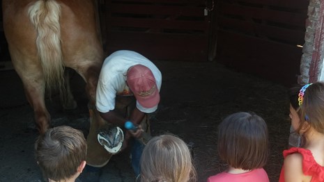Children watch as the farrier cleans a horse's hooves