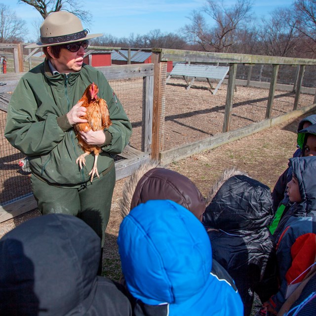 Chicken & Egg Program