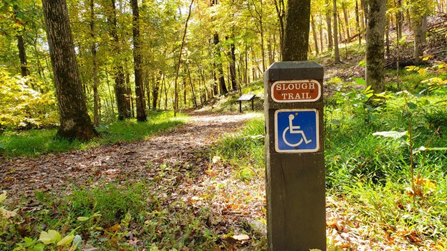 An accessible trail surrounded by fall colors.