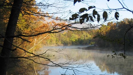 a foggy morning view up river