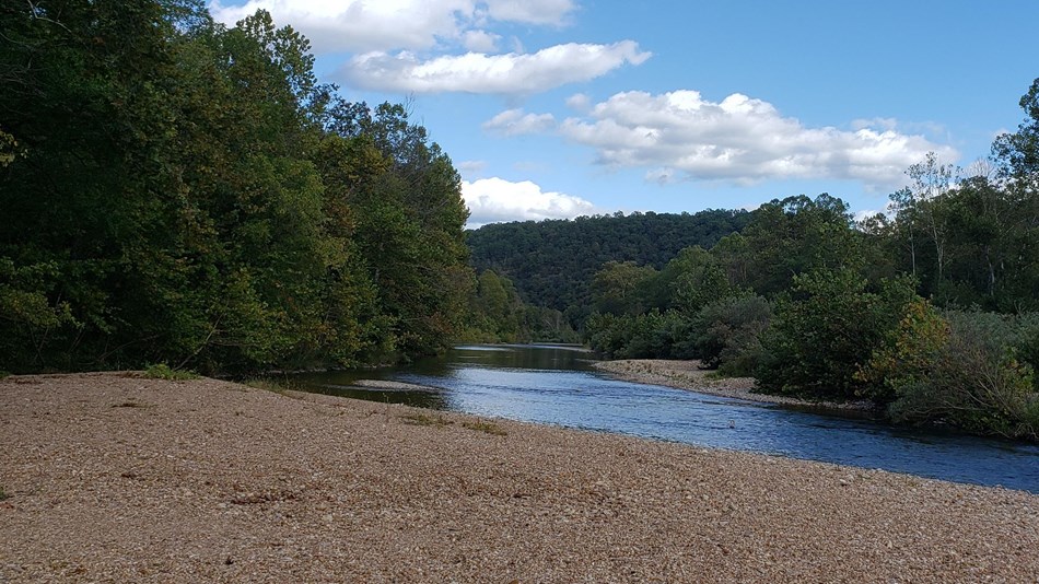 A river scene of a gravel bar and clear stream running surrounded by green brush and clear blue sky.