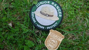 Junior Ranger Badge next to Junior Ranger Patch in grass