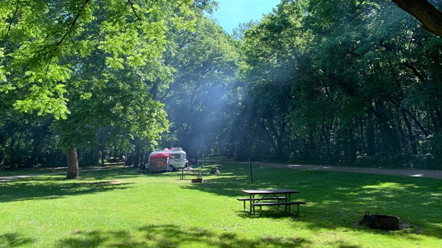 A small camper sits in a lush green field, with trees hanging overhead.