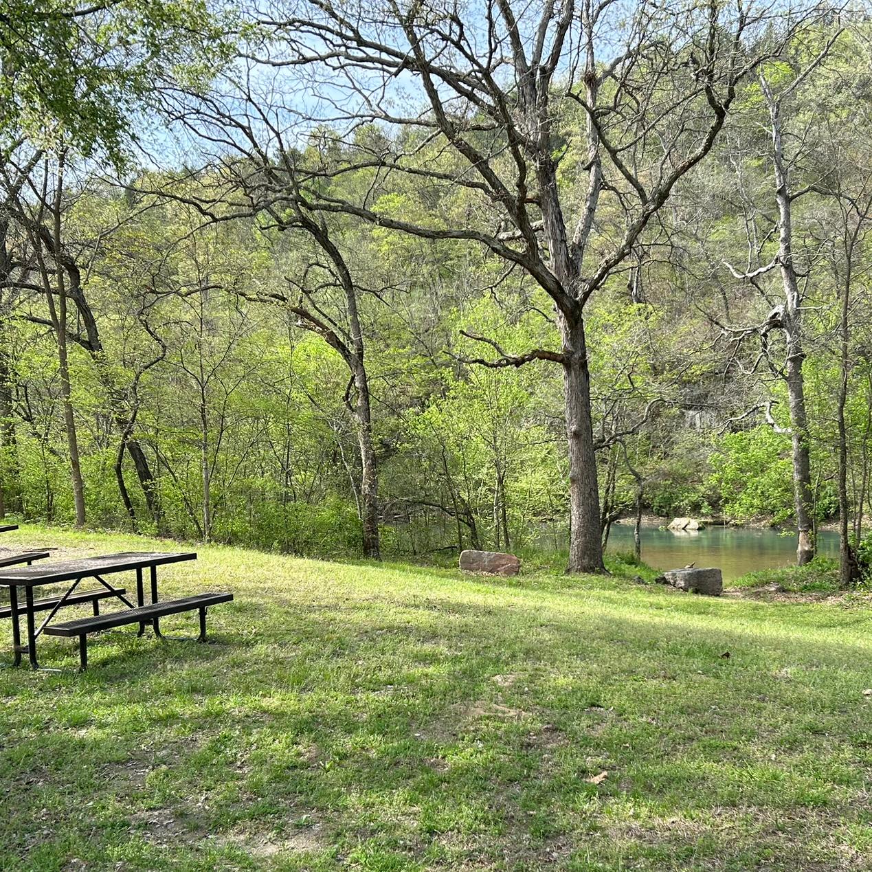 A grassy campsite with a river in the background.