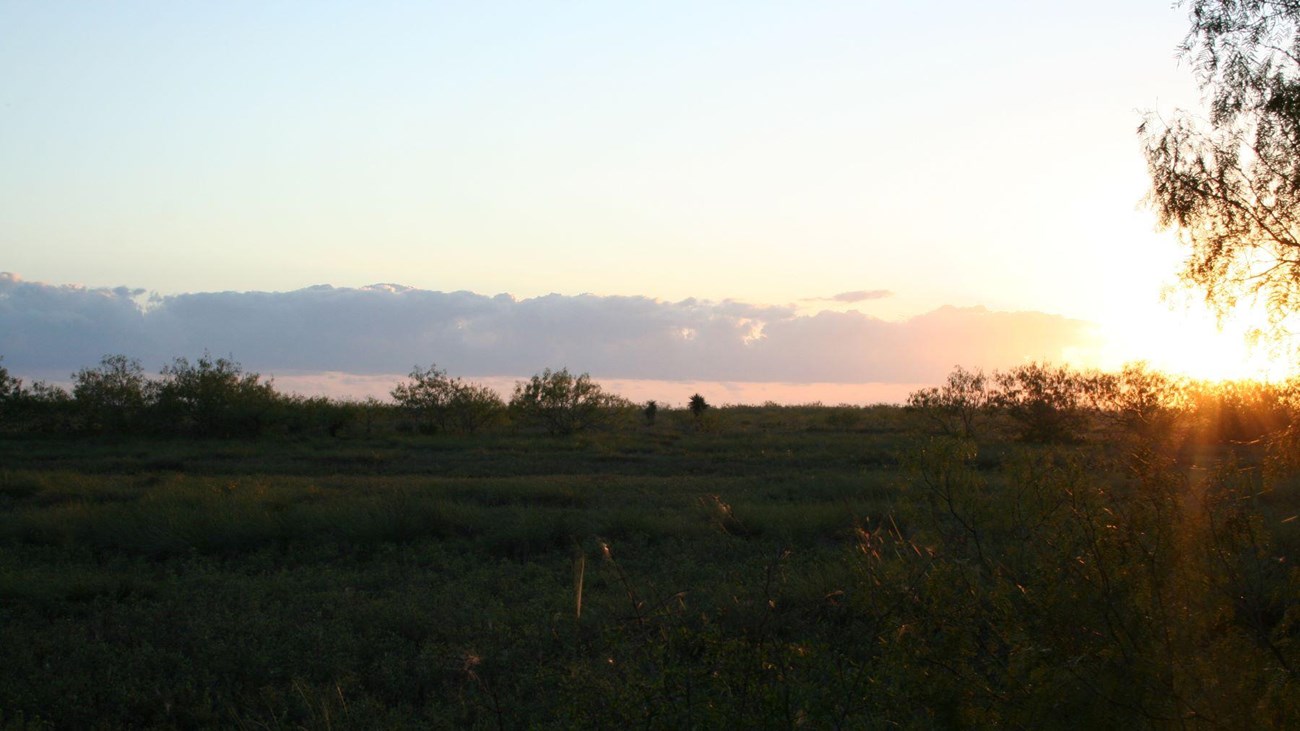 Sunrise over the coastal prairie 
