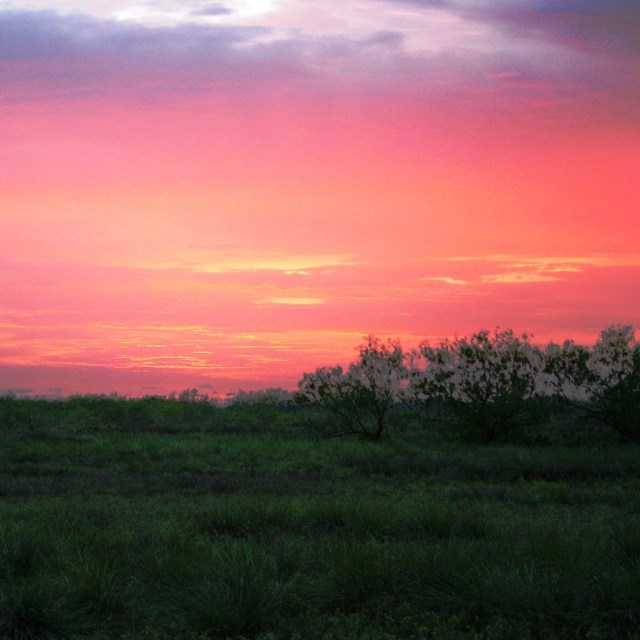 The sun sets behind a pink sky over the chaparral. 