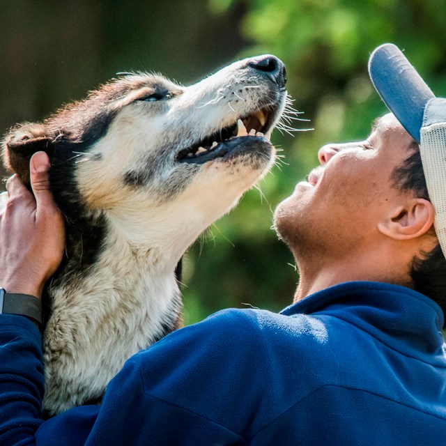 a smiling man in a ballcap pets a husky