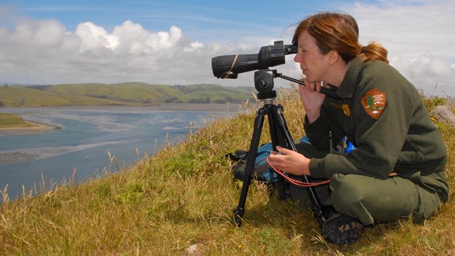 National Park Service Biologist surveying the harbor seal population at Point Reyes NS