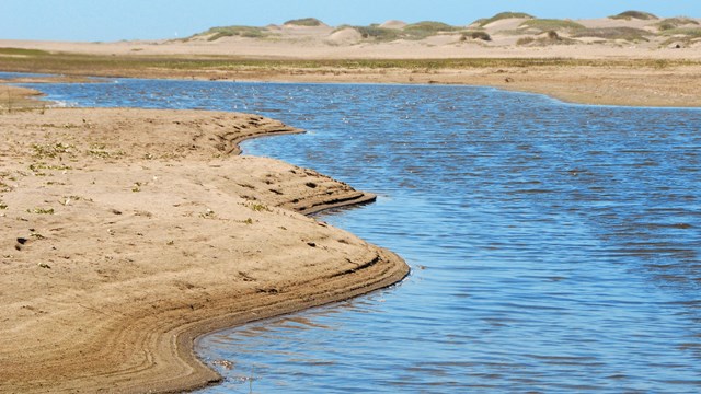 Abbotts Lagoon surrounded by coastal dunes