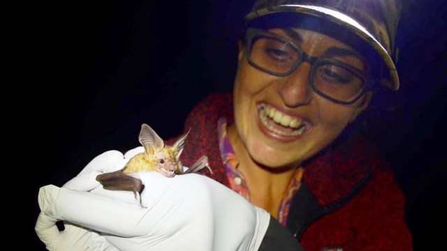 Person holding a bat in gloved hands