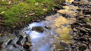 Long exposure of a creek flowing at Phlger Estate