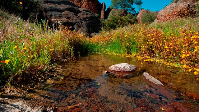 West Fork Chalone Creek