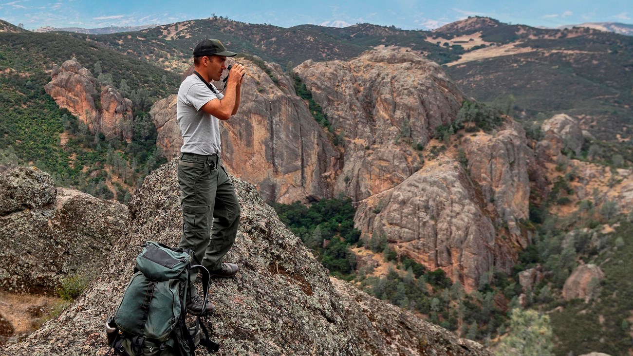 National Park Service biologist using binoculars to look at a raptor.