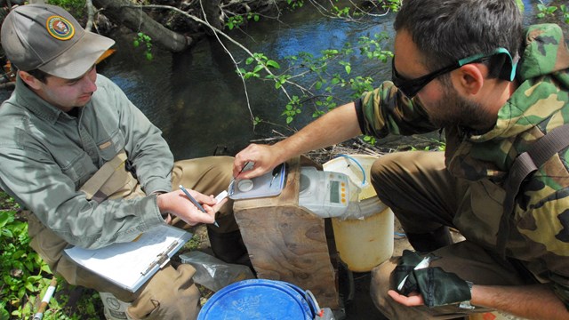 Two people collect data on coho salmon smolts beside a creek