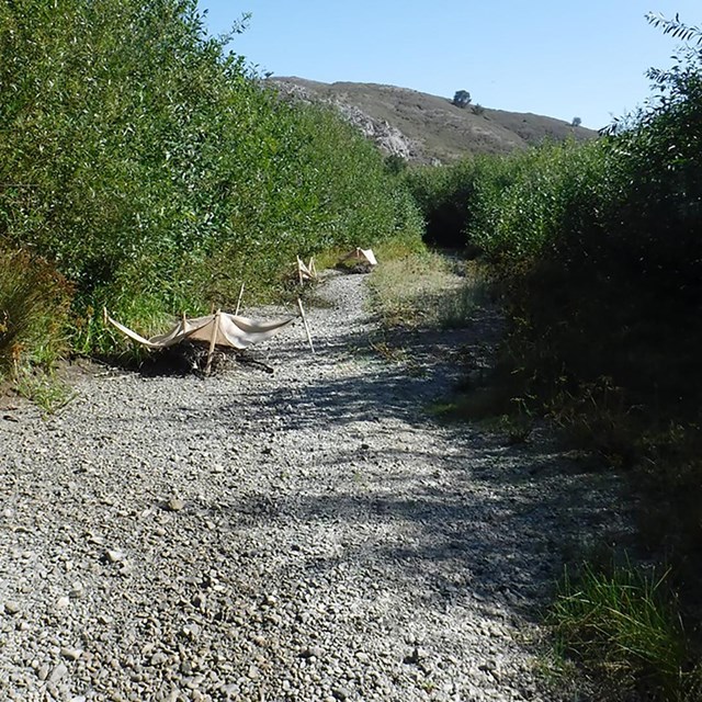 A dry creek bed, with artificial shade structures protecting a handful of remaining pools