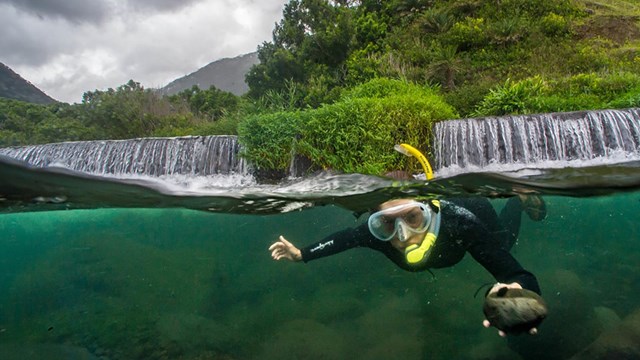 Snorkeler in Waikolu Stream